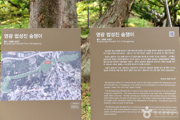 숲쟁이공원 여행 추천 - 메고지고