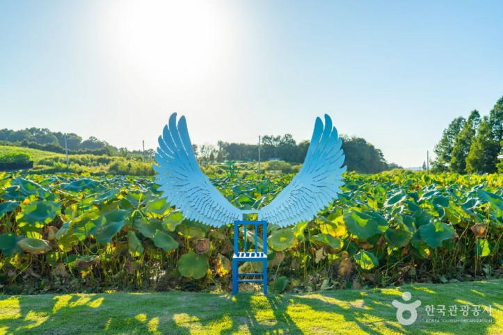 성호호수연꽃단지 여행 추천 - 메고지고