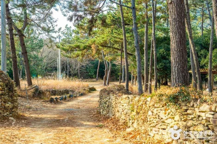 고산 윤선도 문학체험공원 여행 추천 - 메고지고