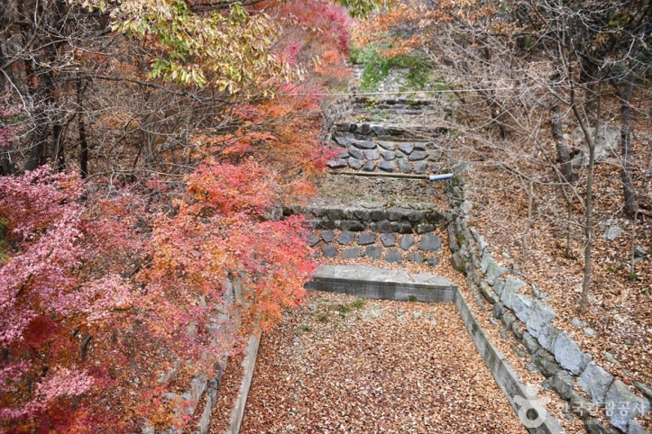 흑석산 자연휴양림 여행 추천 - 메고지고