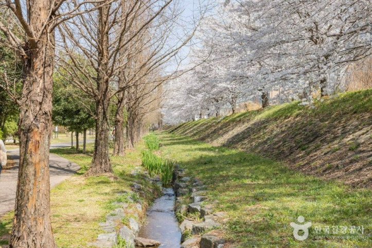 기적의놀이터 3호 시가모노 여행 추천 - 메고지고