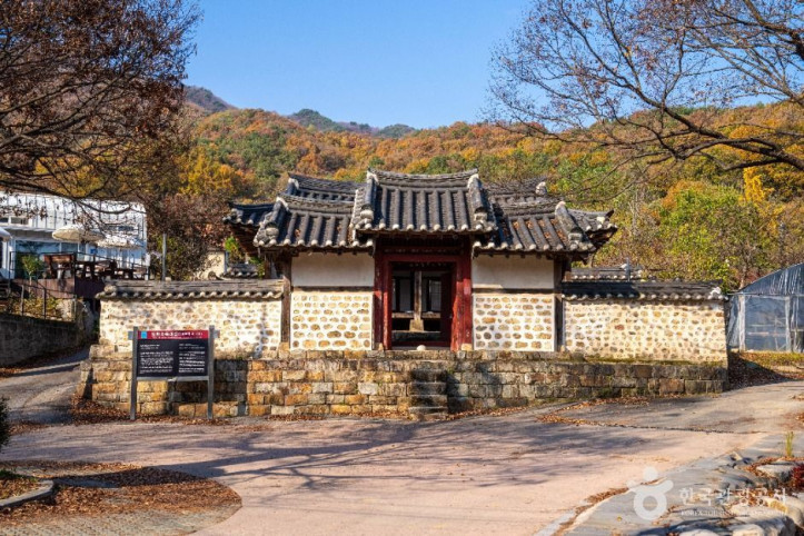이천 산수유마을 여행 추천 - 메고지고