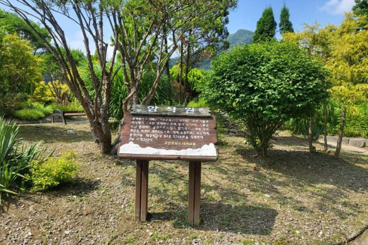 금강로하스 대청공원 (암석식물원) 여행 추천 - 메고지고