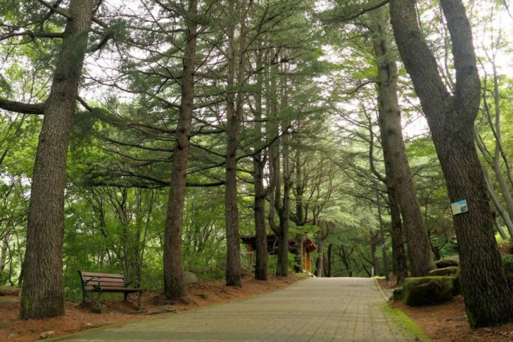 수태골 여행 추천 - 메고지고