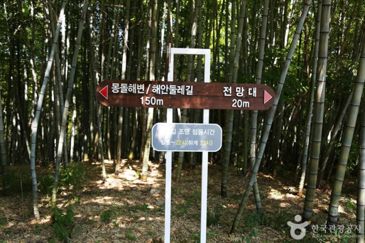 상상산책길 여행 추천 - 메고지고