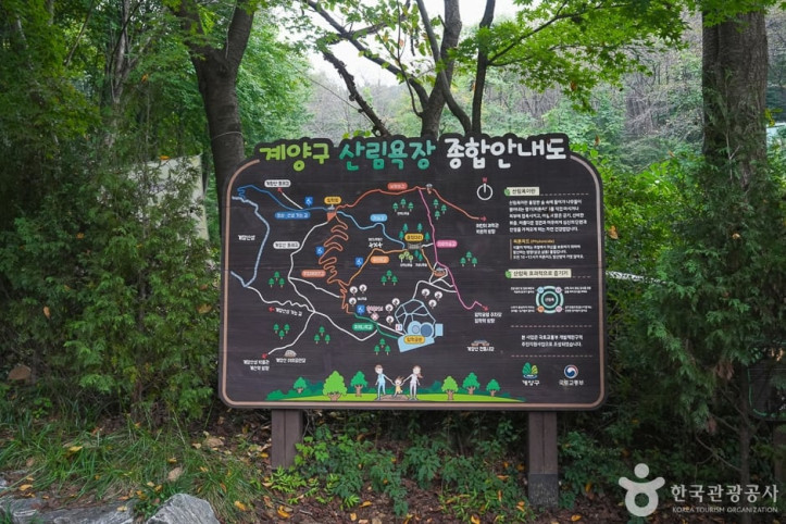 계양산 산림욕장 여행 추천 - 메고지고