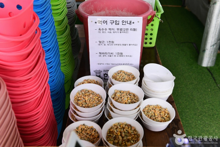 한우드림 동물체험장 여행 추천 - 메고지고