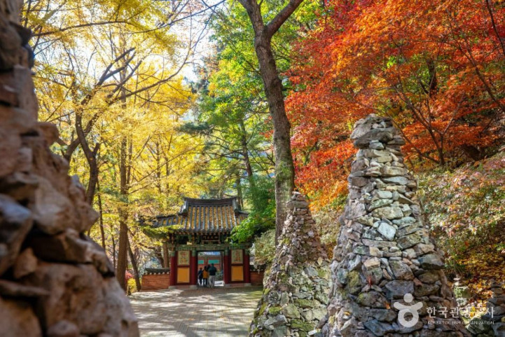금오산도립공원 여행 추천 - 메고지고
