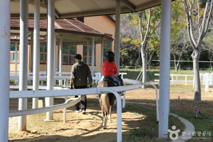 대가야기마문화체험장 여행 추천 - 메고지고