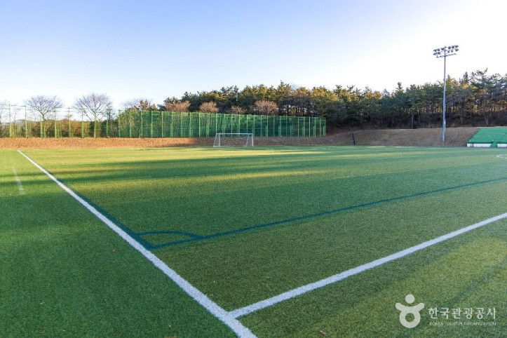 영해생활체육공원 여행 추천 - 메고지고