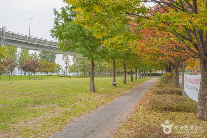 난지한강공원 여행 추천 - 메고지고
