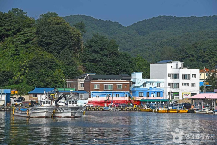 대진항 여행 추천 - 메고지고