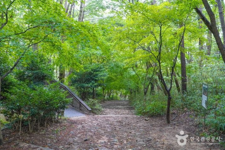 백양산 웰빙숲 여행 추천 - 메고지고