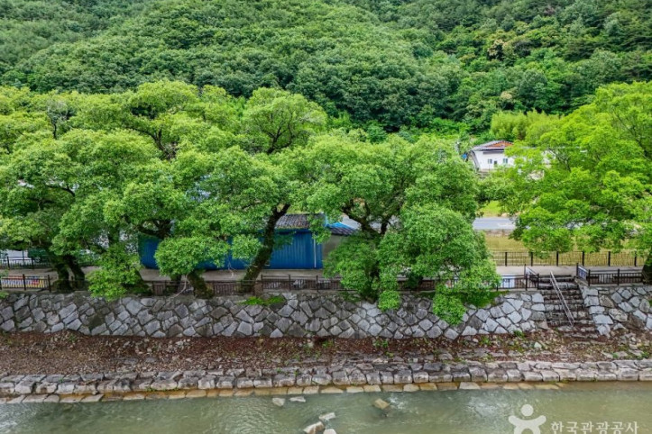 거락계곡 여행 추천 - 메고지고