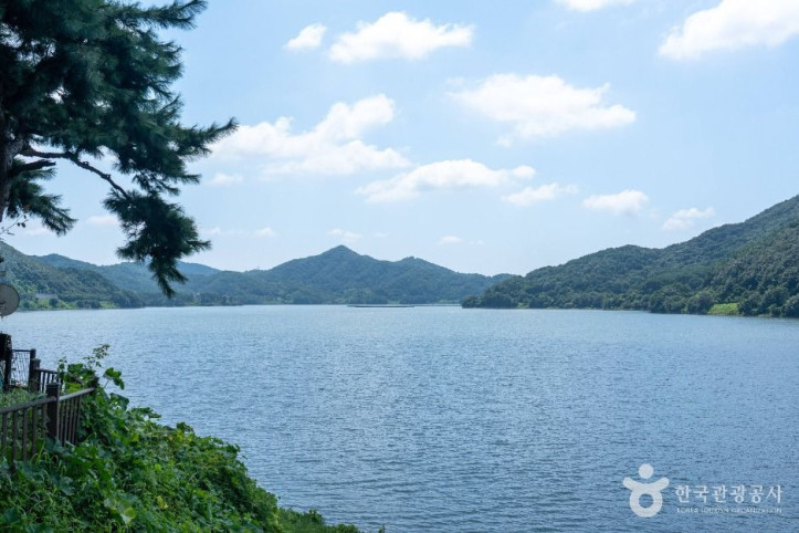 보령호 여행 추천 - 메고지고