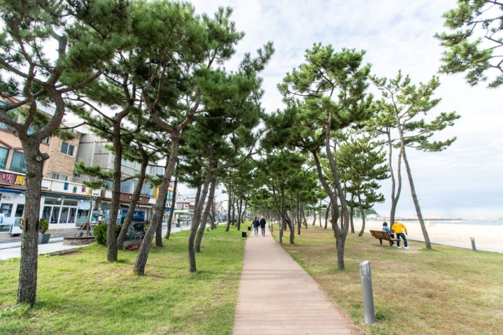 낙산해수욕장 여행 추천 - 메고지고