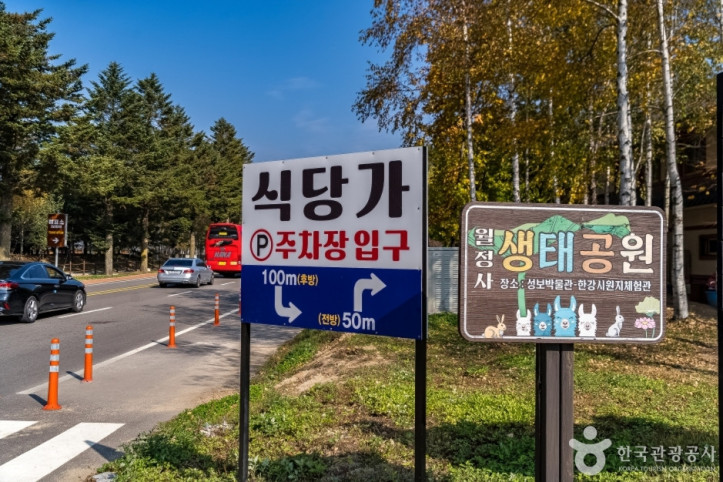 오대산먹거리마을 여행 추천 - 메고지고