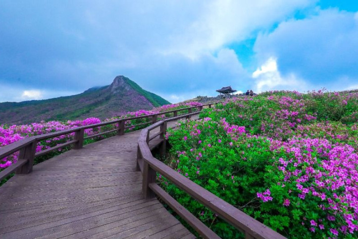황매산(산청) 여행 추천 - 메고지고