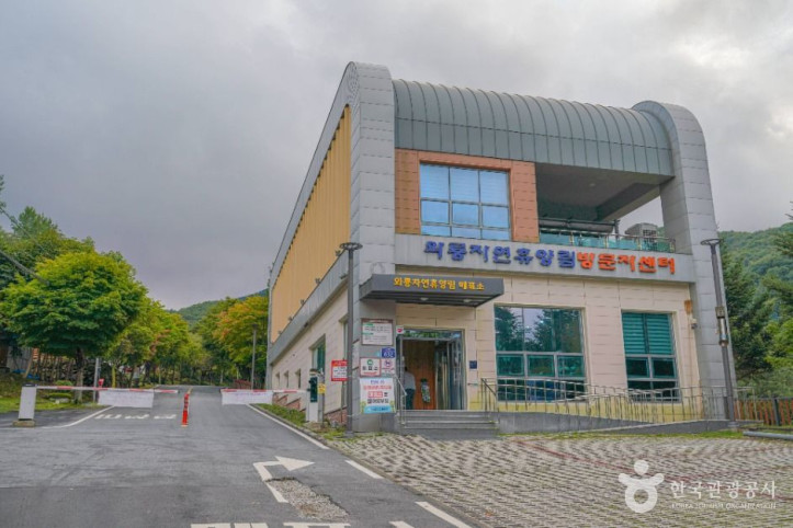 와룡자연휴양림 여행 추천 - 메고지고
