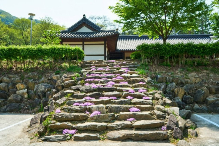 화천 산약초 마을 여행 추천 - 메고지고