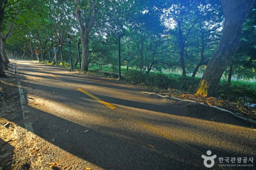 죽녹원 여행 추천 - 메고지고