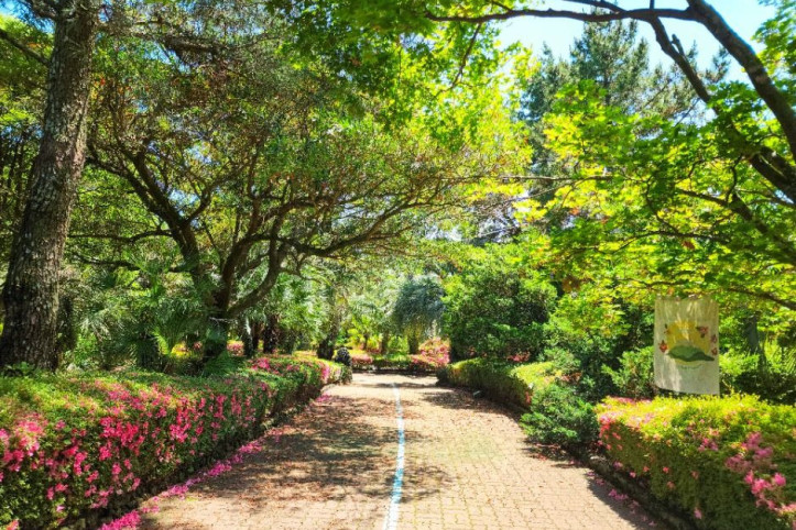 일출랜드 여행 추천 - 메고지고