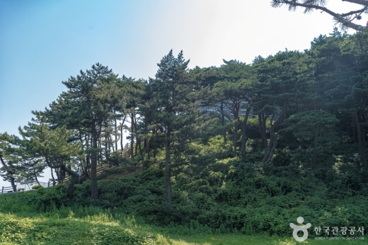 화진포(강원평화지역 국가지질공원) 여행 추천 - 메고지고