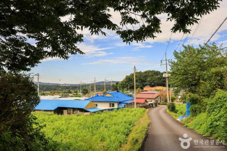 여주 오감도토리마을 여행 추천 - 메고지고