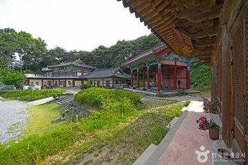 참좋은굼벵이 곤충농장 여행 추천 - 메고지고