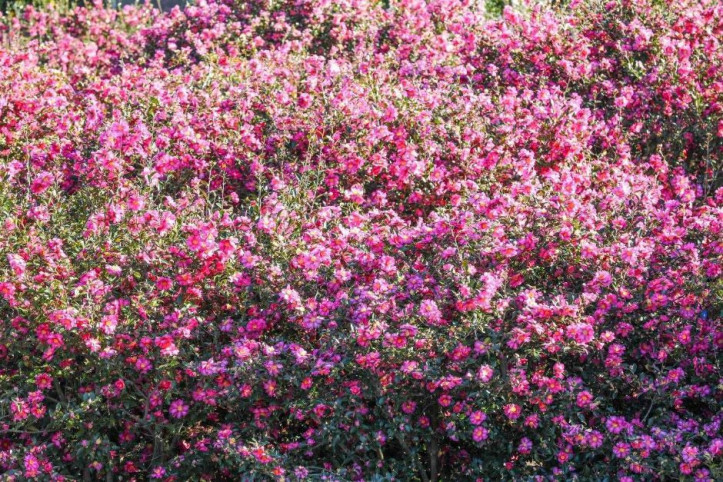휴애리자연생활공원 여행 추천 - 메고지고