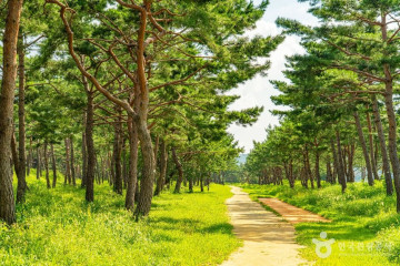 선화당(공주) 여행 추천 - 메고지고
