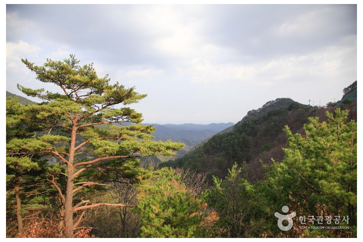 백암산(울진) 여행 추천 - 메고지고