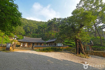 왜가리서식지 여행 추천 - 메고지고