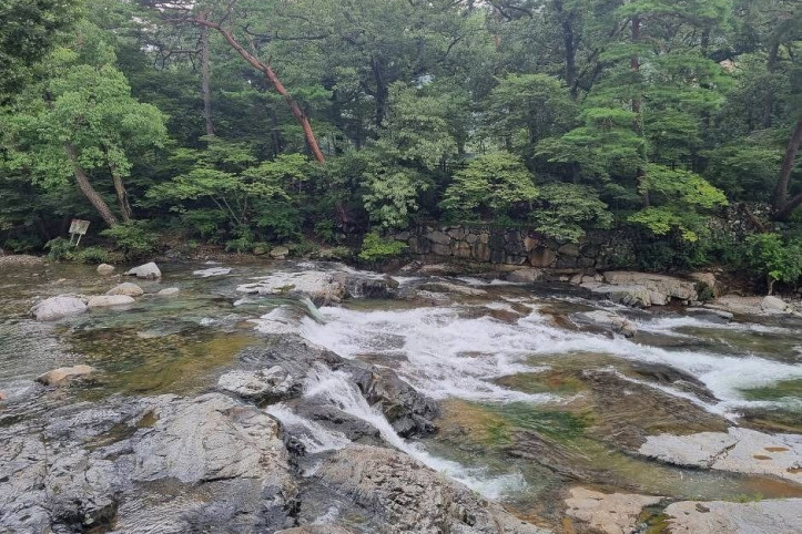 표충사 계곡 여행 추천 - 메고지고