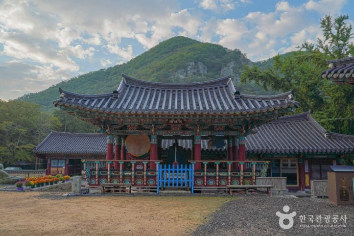 장안사(부산) 여행 추천 - 메고지고