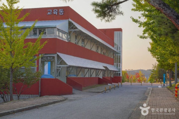 선감어촌체험마을 여행 추천 - 메고지고