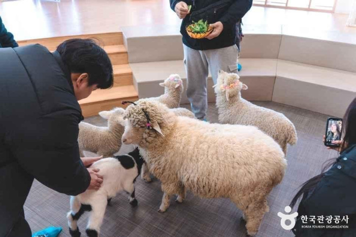 블랙스톤 벨포레 목장 여행 추천 - 메고지고