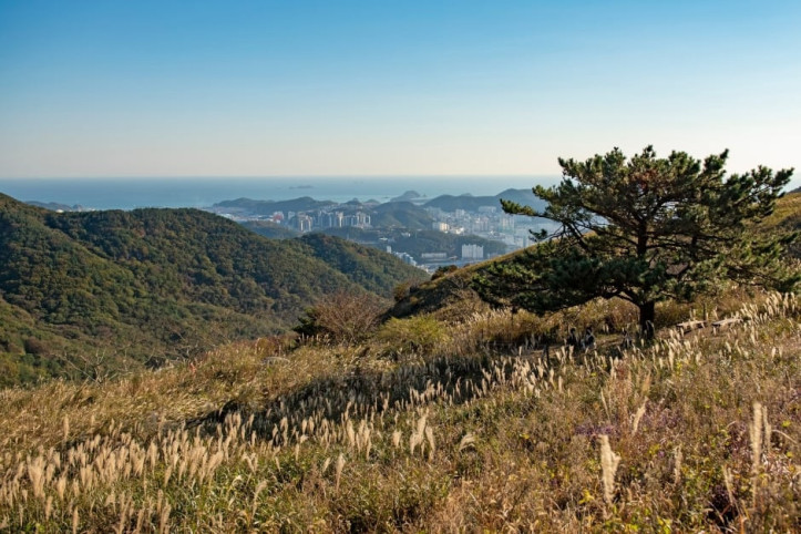 승학산 여행 추천 - 메고지고