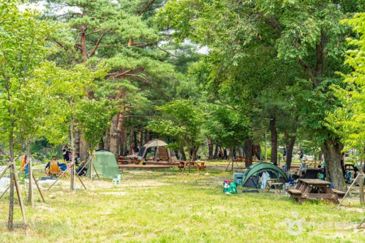 장신유원지 여행 추천 - 메고지고