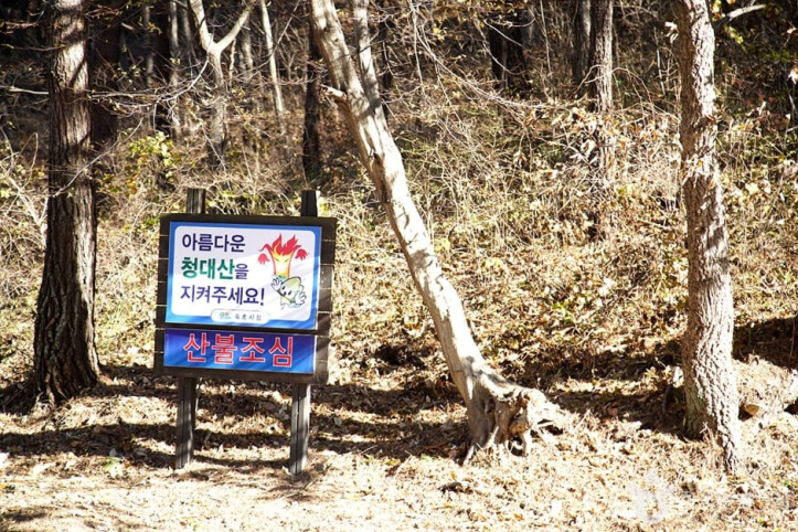 청대산 여행 추천 - 메고지고