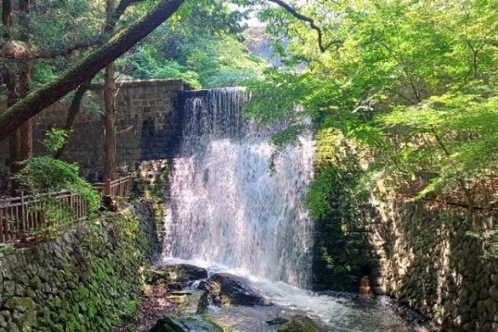부산 어린이대공원 여행 추천 - 메고지고