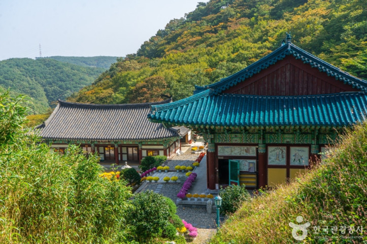 신흥사(울산) 여행 추천 - 메고지고
