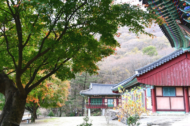 구암사(순창) 여행 추천 - 메고지고
