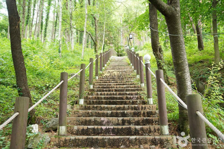 조양산(정선) 여행 추천 - 메고지고