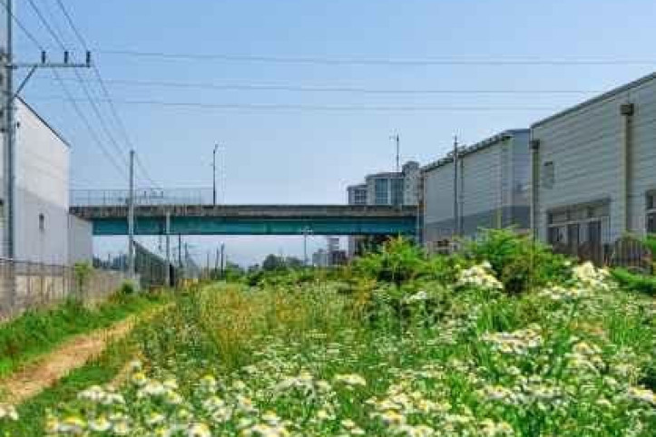 전천·전천생활체육공원 여행 추천 - 메고지고