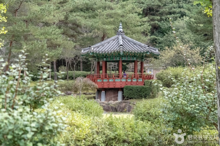공작산생태숲 여행 추천 - 메고지고