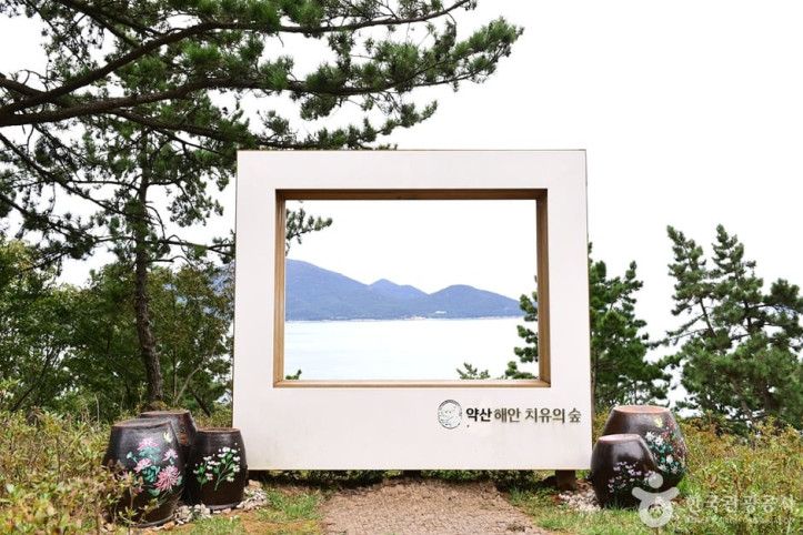 약산해안 치유의숲 여행 추천 - 메고지고