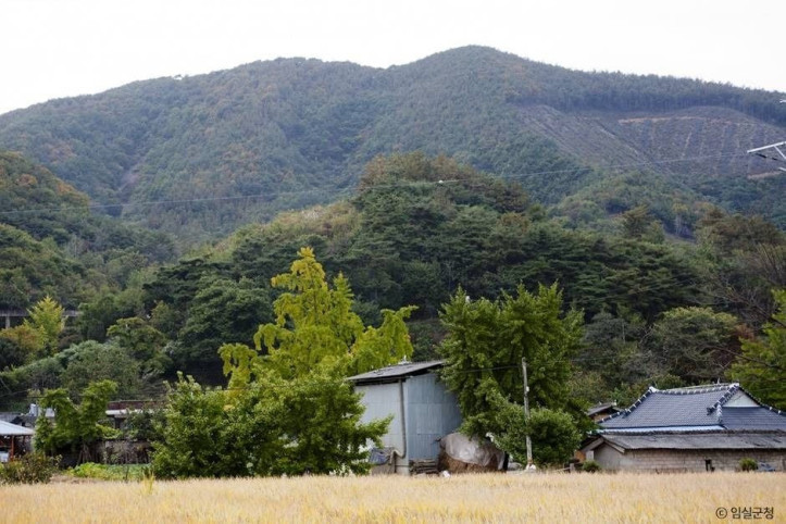 덕재산 여행 추천 - 메고지고
