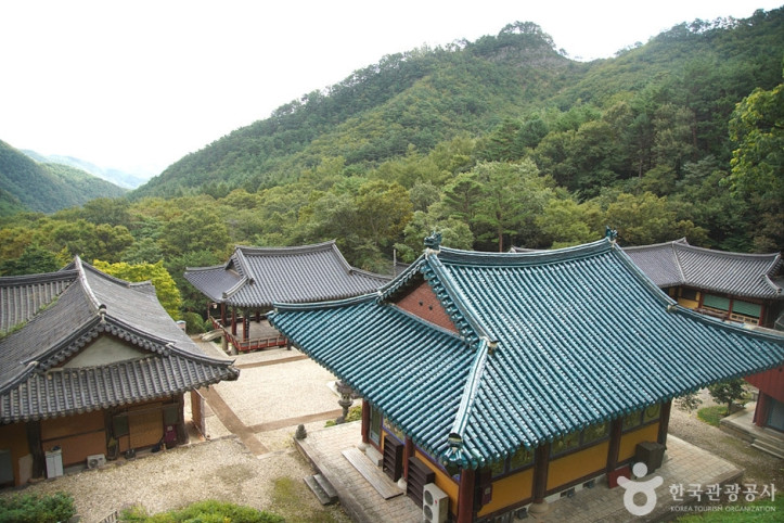 천은사(삼척) 여행 추천 - 메고지고