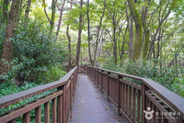 약수암(부산) 여행 추천 - 메고지고